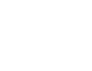 Get your guide logo